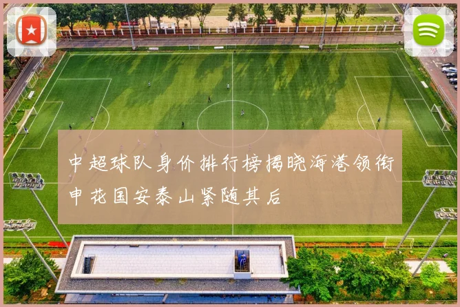 中超球队身价排行榜揭晓海港领衔申花国安泰山紧随其后