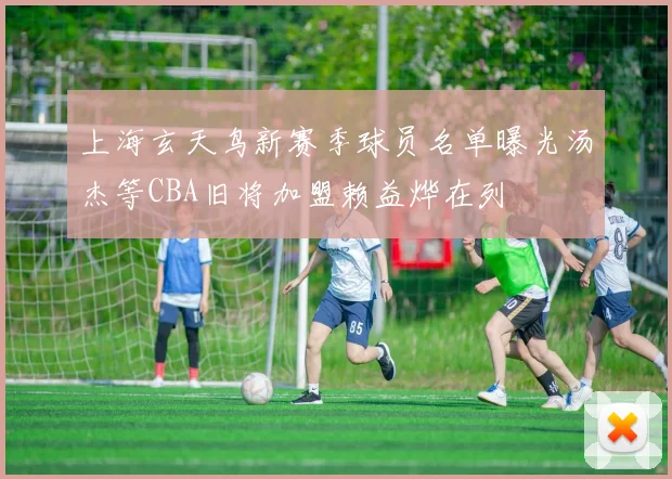 上海玄天鸟新赛季球员名单曝光汤杰等CBA旧将加盟赖益烨在列