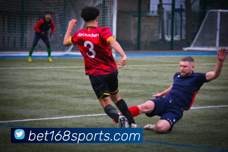 168体育平台生态图