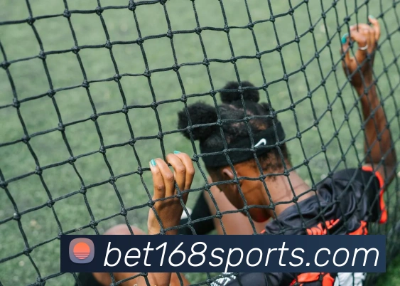 168体育APP 封面图